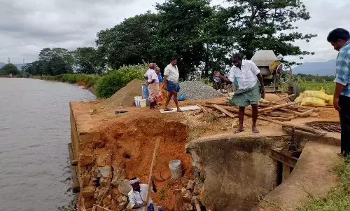 கூடலுார் ஒட்டான்குளம் கண்மாயில் உடைப்பு அடைக்கும் பணிகள் மும்முரம்