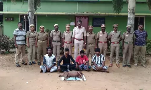 காட்டுப் பன்றி வேட்டையாடிய 4 பேருக்கு ரூ.1.20 லட்சம் அபராதம் விதிப்பு