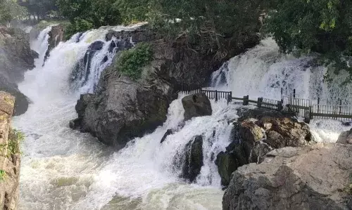 ஒகேனக்கல்லுக்கு வினாடிக்கு 14 ஆயிரம் கனஅடி ஆயிரம் நீர்வரத்து