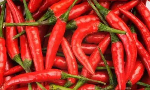 விருதுநகர் மார்க்கெட் நிலவரம்: வத்தல் மிளகாய் விலை சரிவு