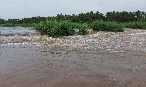 வாணியம்பாடி அருகே பாலாற்றில் வெள்ளபெருக்கு.