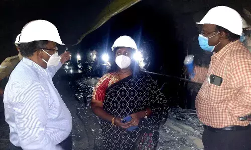 கொல்லிமலையில் ரூ.338.79 கோடியில்  நீர்மின் திட்டப்பணி: கலெக்டர் ஆய்வு