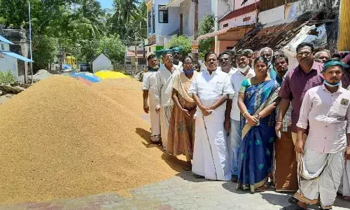 கொள்முதல் செய்யாததால் சாலையில் நெல்லை கொட்டி வைத்த விவசாயிகள்