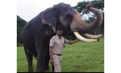 சுற்றுலா பயணிகளிடம் தகராறு செய்ததாக வனச்சரகர் கைது