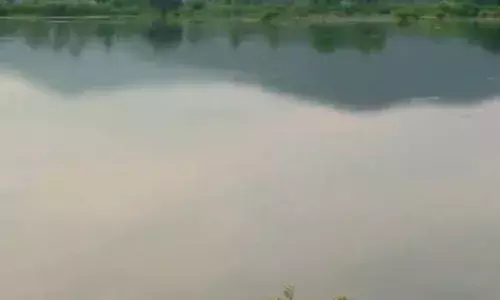 ஆலாபுரம் ஏரியில் மீன் பிடிக்க அக்டோபர் 10 வரை தடை நீடிப்பு