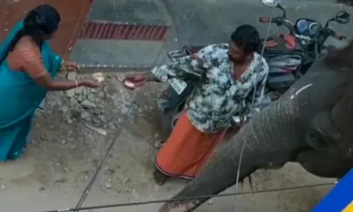 மதுரை வீதிகளில் யானையை வைத்து யாசகம் பெறும் சம்பவத்தால் சர்ச்சை