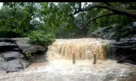 பீமன் அருவிக்கு செல்ல பொதுமக்களுக்கு தடை