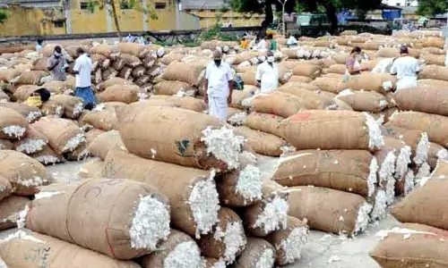 நாமக்கல் கூட்டுறவு சொசைட்டியில் ரூ.30 லட்சம் மதிப்பில் பருத்தி ஏலம்