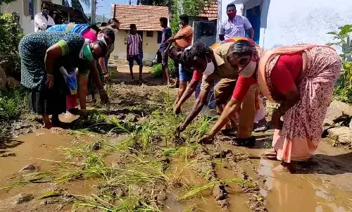 சேறும் சகதியுமான சாலையில் நாற்று நட்டு பொதுமக்கள் போராட்டம்