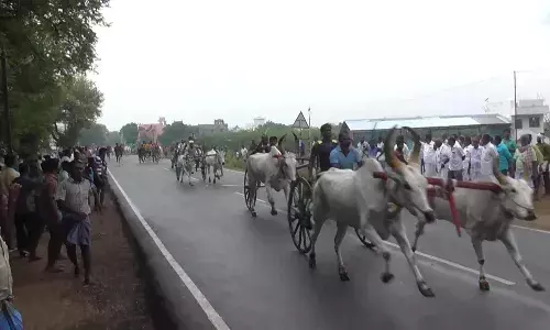 விளாத்திகுளம் அருகே மாட்டுவண்டி பந்தயம் - சீறிபாய்ந்த காளைகள்