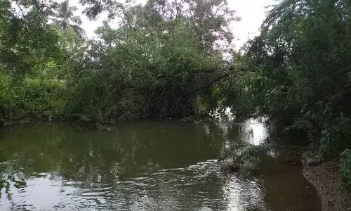 குமாரபாளையம்: வாய்க்காலில் சாய்ந்து கிடக்கும் மரத்தை அகற்ற கோரிக்கை