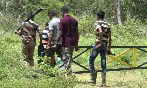 11 வது நாளாக தொடரும் தேடுதல் வேட்டை : இன்றாவது சிக்குமா புலி?