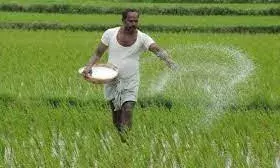 யூரியா கடும் தட்டுப்பாடு: திருவண்ணாமலை மாவட்ட  விவசாயிகள் வேதனை