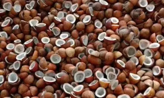ப.வேலூர் ஏல மார்க்கெட்டில் கொப்பரை விலை சரிவு: விவசாயிகள் கவலை ப.வேலூர் ஏல மார்க்கெட்டில் கொப்பரை விலை சரிவு: விவசாயிகள் கவலை