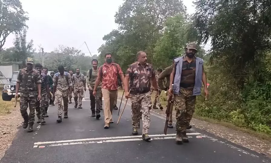 நீலகிரி மாவட்டத்தில் 16 -ஆம் நாளாக புலியைத் தேடும் பணியில் வனத்துறையினர் தீவிரம் நீலகிரி மாவட்டத்தில் 16 -ஆம் நாளாக புலியைத் தேடும் பணியில் வனத்துறையினர் தீவிரம்