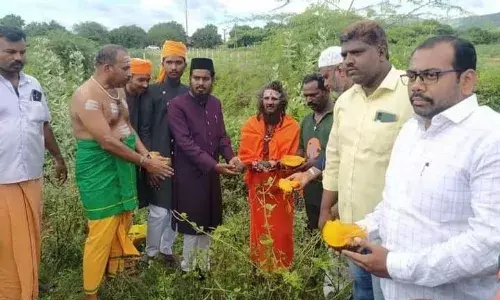 கம்பம் 18ம் கால்வாயி்ல் பனை நடவு செய்த சமூக நல்லிணக்கக்குழுவினர்