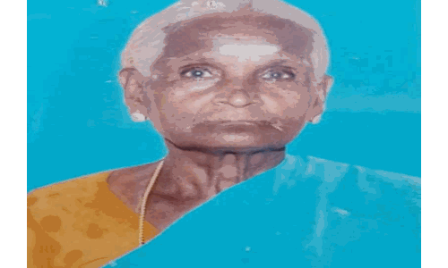 நூதன முறையில் மூதாட்டியிடம் செயின் பறிப்பு: மர்ம நபருக்கு போலீசார் வலைவீச்சு