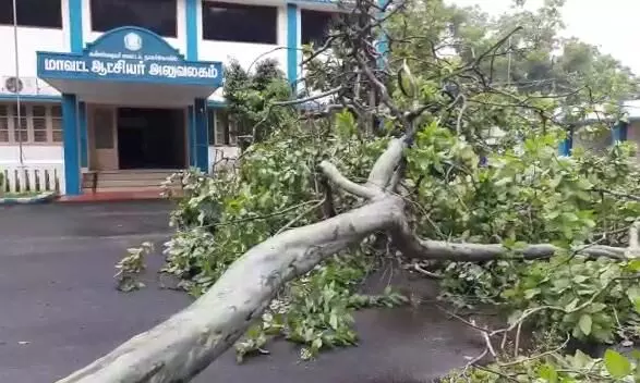 கனமழையுடன் கூடிய சூறை காற்று - வேரோடு சாய்ந்த மரங்கள் கனமழையுடன் கூடிய சூறை காற்று - வேரோடு சாய்ந்த மரங்கள்