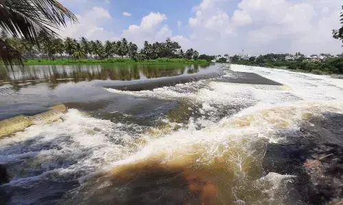 பவானி அருகே காளிங்கராயன் அணைக்கட்டில் பெருக்கெடுத்த உபரிநீர் பவானி அருகே காளிங்கராயன் அணைக்கட்டில் பெருக்கெடுத்த உபரிநீர்