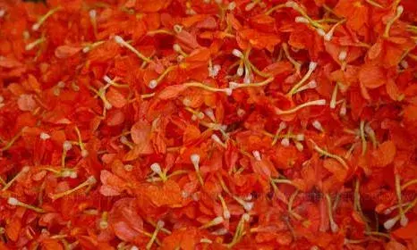 சத்தியமங்கலம் மார்க்கெட்டில் பூக்களின் விலை நிலவரம்