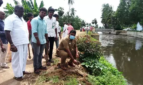 காலிங்கராயன் வாய்க்கால் பகுதியில் 10 ஆயிரம் பனை விதை நடும் நிகழ்ச்சி