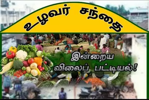 திருவண்ணாமலை உழவர் சந்தையில் இன்றைய காய்கறி விலை நிலவரம் திருவண்ணாமலை உழவர் சந்தையில் இன்றைய காய்கறி விலை நிலவரம்