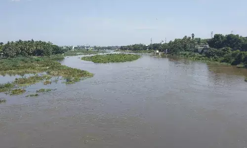 நெல்லை மாவட்ட அணைகளின் இன்றைய நீர்மட்டம் நெல்லை மாவட்ட அணைகளின் இன்றைய நீர்மட்டம்