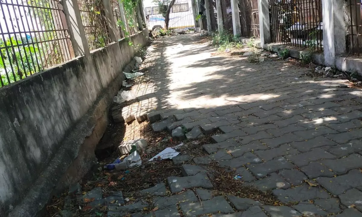 வேளச்சேரி ஏரிக்கரை நடைபாதை : பராமரிப்பின்றி காணப்படும் அவலம் வேளச்சேரி ஏரிக்கரை நடைபாதை : பராமரிப்பின்றி காணப்படும் அவலம்