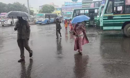 நாகை சுற்றுவட்டார பகுதிகளில் பெய்த  மழையால் விவசாயிகள் மகிழ்ச்சி நாகை சுற்றுவட்டார பகுதிகளில் பெய்த  மழையால் விவசாயிகள் மகிழ்ச்சி