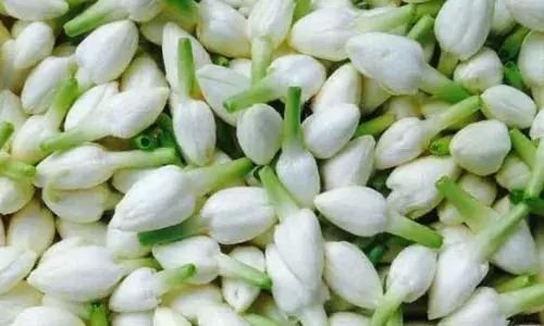 சத்தியமங்கலம் தினசரி பூ மார்க்கெட் விலை நிலவரம்