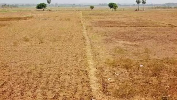 சேலம் மாவட்டத்தில் தரிசை சாகுபடி நிலமாக மாற்றும் திட்டம் அமல் சேலம் மாவட்டத்தில் தரிசை சாகுபடி நிலமாக மாற்றும் திட்டம் அமல்