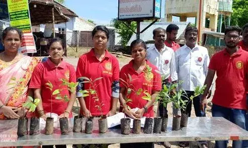 அத்தாணியில் மரக்கன்று வழங்கிய நாம் தமிழர் கட்சியினர்