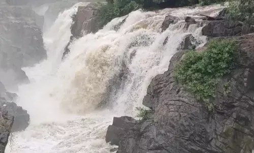 ஒகேனக்கல்லுக்கு நீர்வரத்து இன்று மாலை வினாடிக்கு 24 ஆயிரம் கனஅடியாக குறைந்தது ஒகேனக்கல்லுக்கு நீர்வரத்து இன்று மாலை வினாடிக்கு 24 ஆயிரம் கனஅடியாக குறைந்தது