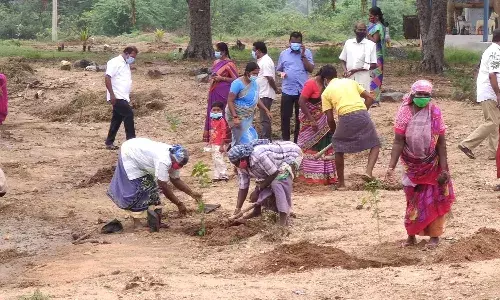 குண்டடம் பகுதியில் மரக்கன்று நடும் விழா