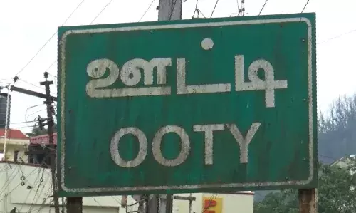 நவ.3 ல் கிராம அளவில் சிறப்பு பட்டா முகாம்: நீலகிரி கலெக்டர் அறிவிப்பு