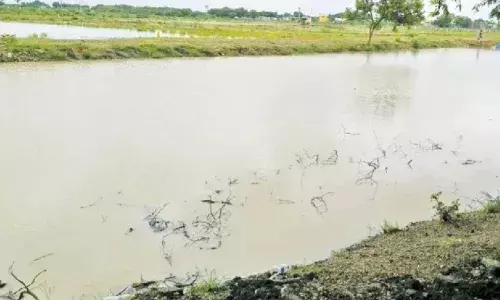 தொடர்மழை: சாத்தூர் பகுதி நீர்நிலைகளில் தண்ணீர் வரத்து அதிகரிப்பு