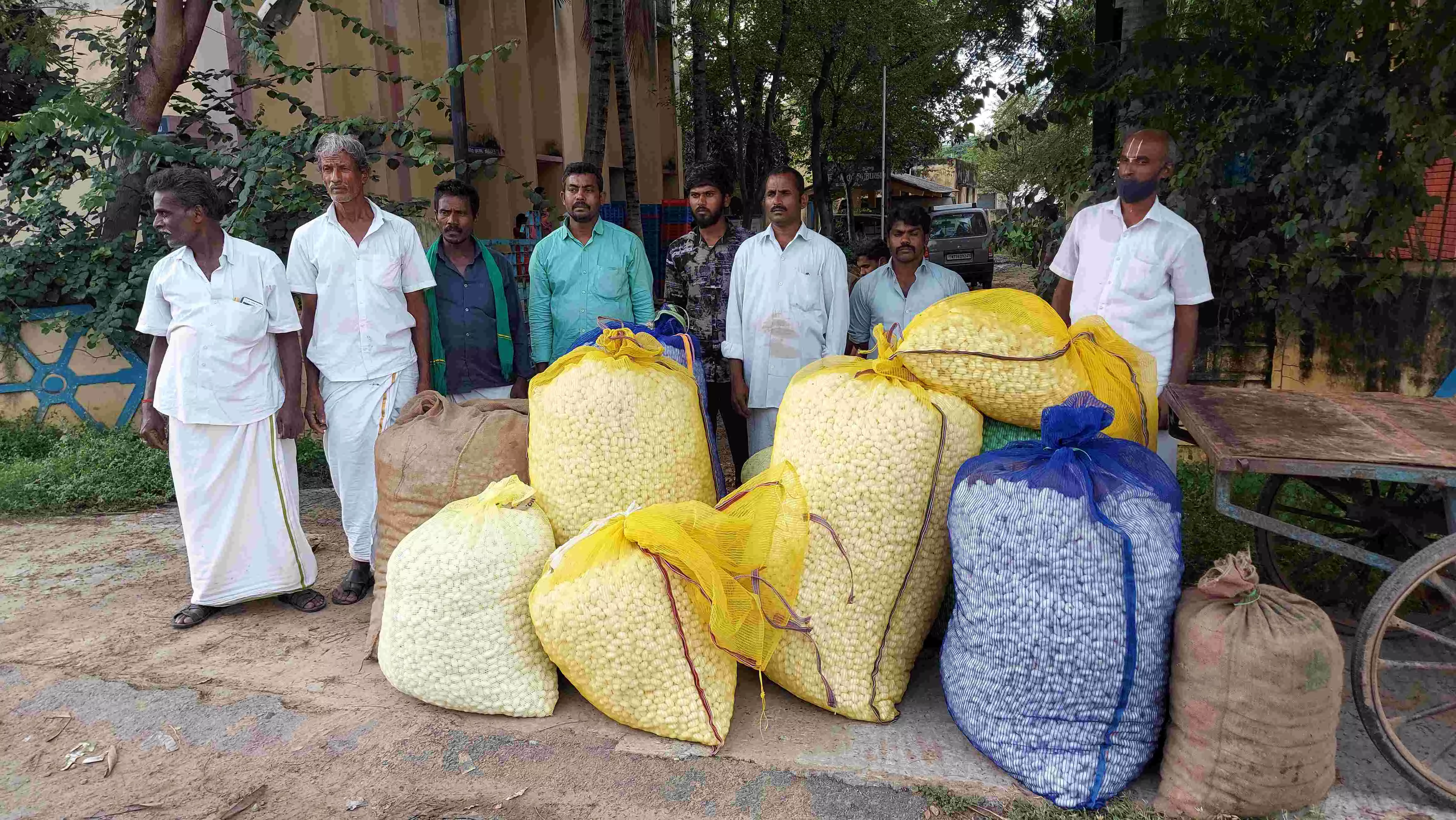 வாணியம்பாடியில் பட்டு கூடுகளுக்கு உரிய விலை கிடைக்காததால் விவசாயிகள் ஏமாற்றம் வாணியம்பாடியில் பட்டு கூடுகளுக்கு உரிய விலை கிடைக்காததால் விவசாயிகள் ஏமாற்றம்