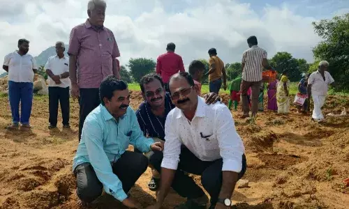 உடுமலையில் தன்னார்வ அமைப்பினர் சார்பில் பனை விதை நடவு