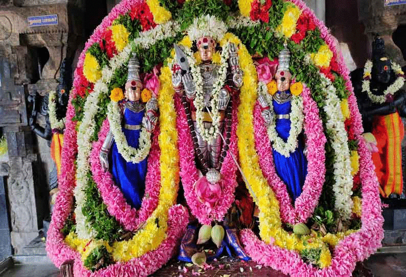 ஈரோடு மாவட்டத்தில் முருகன் கோவில்களில் திருக்கல்யாண நிகழ்ச்சி ஈரோடு மாவட்டத்தில் முருகன் கோவில்களில் திருக்கல்யாண நிகழ்ச்சி