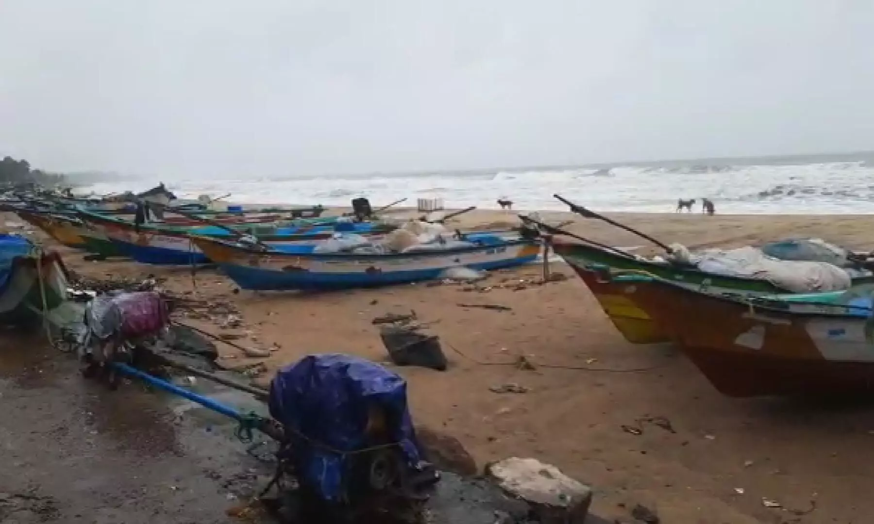 மாமல்லபுரத்தில் கடல் சீற்றம்: கனமழையால் மரங்கள், மின்கம்பங்கள் சேதம் மாமல்லபுரத்தில் கடல் சீற்றம்: கனமழையால் மரங்கள், மின்கம்பங்கள் சேதம்