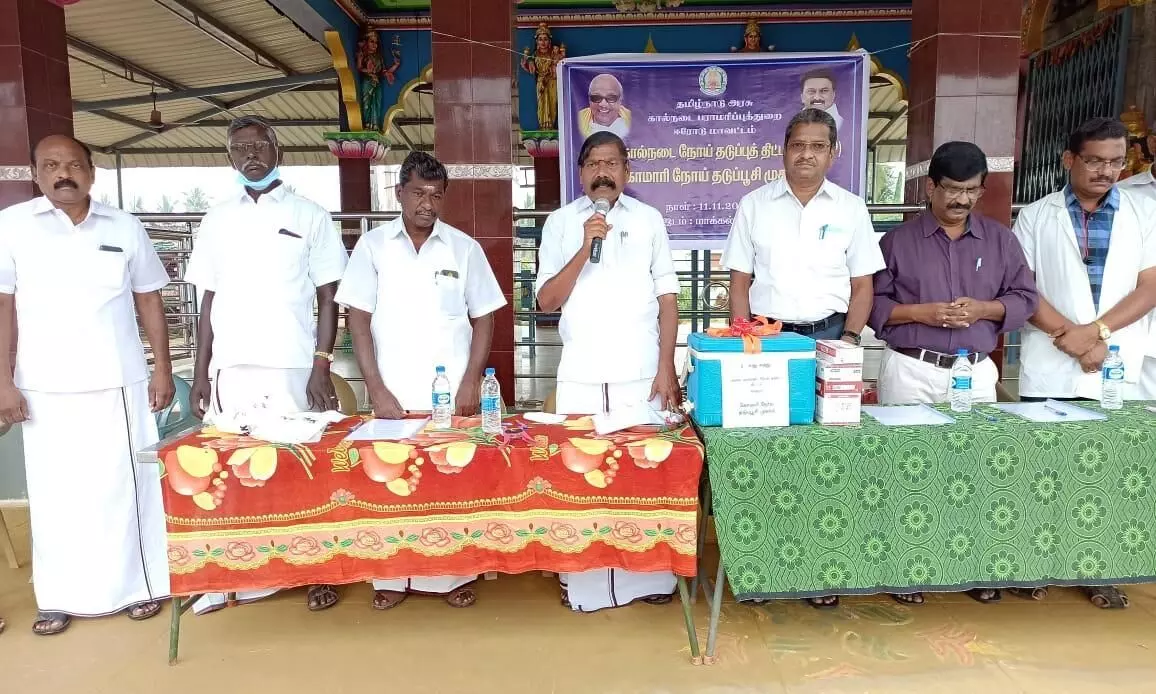 அந்தியூரில் கோமாரி நோய் தடுப்பூசி முகாம்: எம்.எல்.ஏ. துவக்கி வைப்பு அந்தியூரில் கோமாரி நோய் தடுப்பூசி முகாம்: எம்.எல்.ஏ. துவக்கி வைப்பு