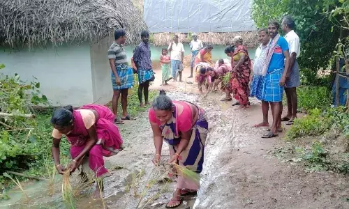 ஊருக்குள் புகுந்த தண்ணீர்: தெருவில் நாற்றுநட்டு மக்கள் போராட்டம்
