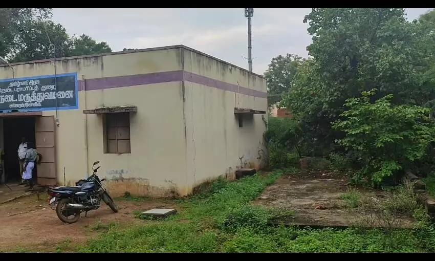 அரசு கால்நடை மருத்துவமனையில் விஷ பூச்சிகள் நடமாட்டம்: பொதுமக்கள் அச்சம் அரசு கால்நடை மருத்துவமனையில் விஷ பூச்சிகள் நடமாட்டம்: பொதுமக்கள் அச்சம்