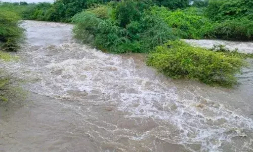 தொடர் மழையால் திருச்சி மாவட்டத்தில் 1,167 குளங்கள் நிரம்பின