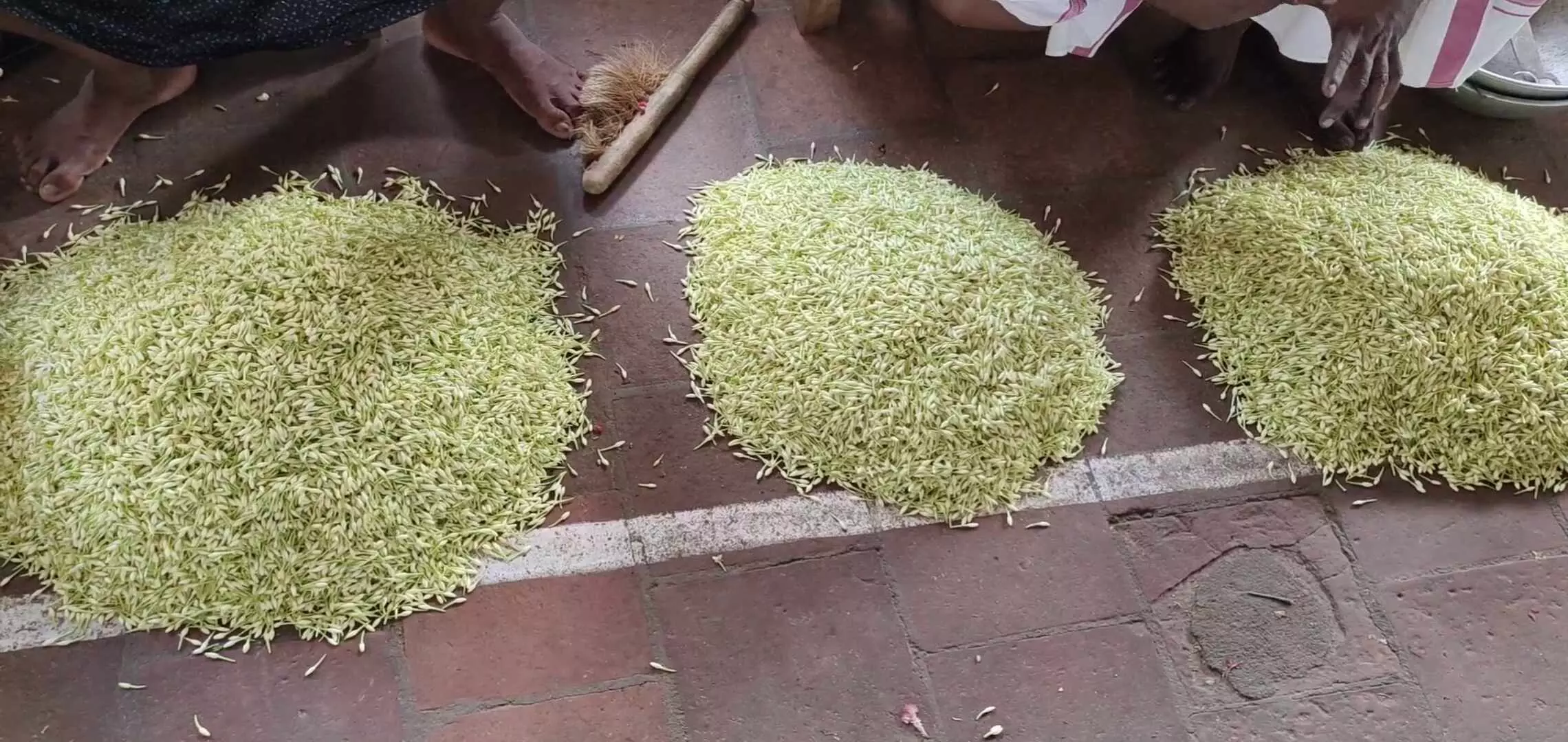 திண்டுக்கல் பூ மார்க்கெட்டில் பல மடங்கு விலை உயர்வு: மல்லிகை பூ கிலோ ரூ. 2,500 திண்டுக்கல் பூ மார்க்கெட்டில் பல மடங்கு விலை உயர்வு: மல்லிகை பூ கிலோ ரூ. 2,500