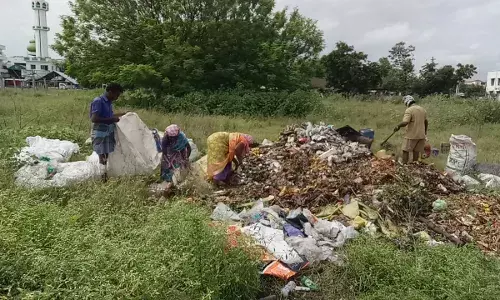 பெரம்பலூர் நகரில் தரம் பிரிக்கப்படும் குப்பைகளால் துர்நாற்றம்