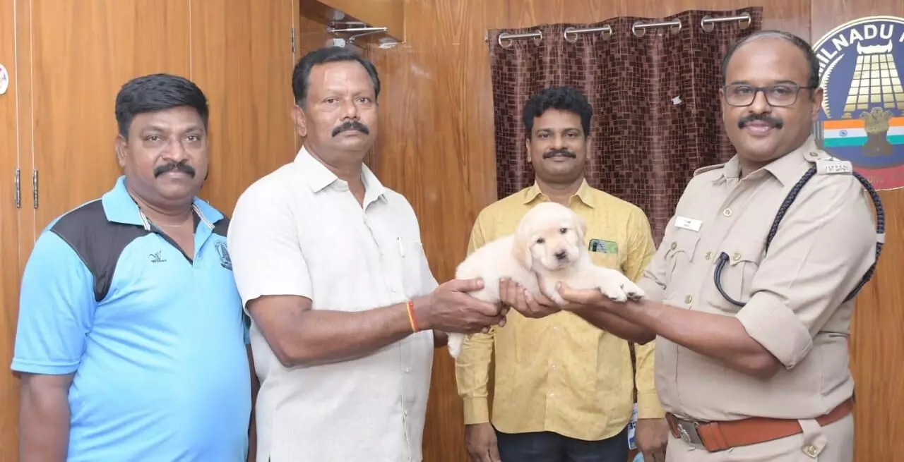 பெரம்பலூர் மாவட்ட காவல் துறை: புதிய நாய்க்குட்டிக்கு பெயர் கவின் பெரம்பலூர் மாவட்ட காவல் துறை: புதிய நாய்க்குட்டிக்கு பெயர் கவின்