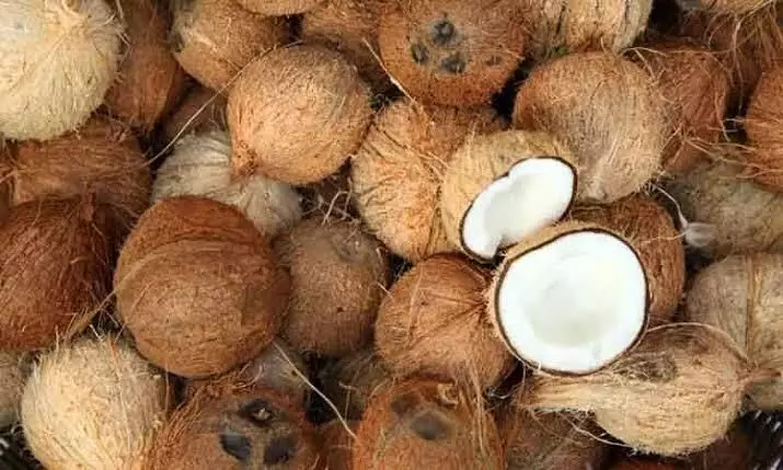 பெருந்துறை வாரச்சந்தையில் ரூ.81 ஆயிரத்துக்கு தேங்காய் விற்பனை பெருந்துறை வாரச்சந்தையில் ரூ.81 ஆயிரத்துக்கு தேங்காய் விற்பனை