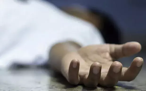 ஆலங்குளம் அருகே கொடிய விஷப்பாம்பு கடித்து ஒருவர் உயிரிழப்பு