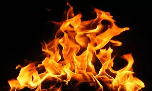 மதுரை அருகே கோழிக்கடையில் தீ விபத்து: கோழிகள்  பலி